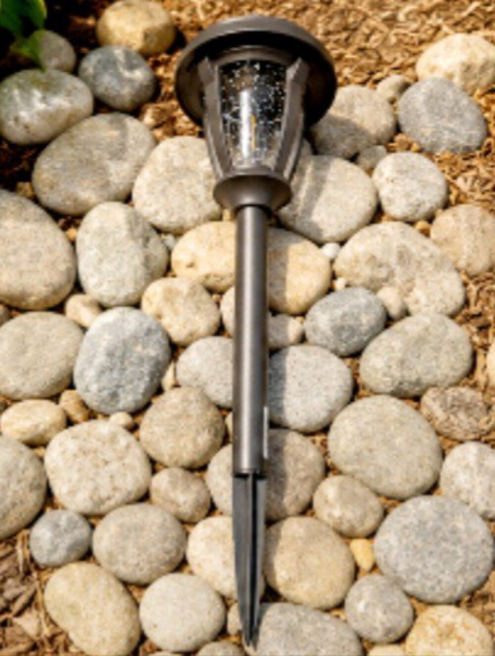 Outdoor Solar Path Light in Dark Bronze